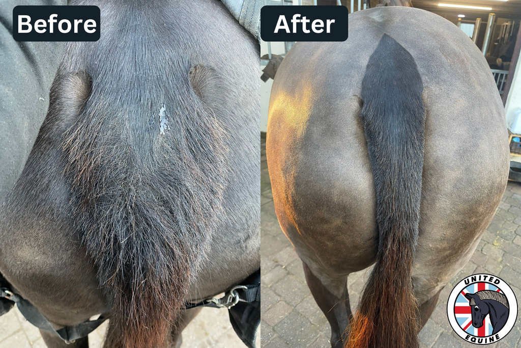 Before photo illustrating the skin concern Sweet Itch Free is designed for