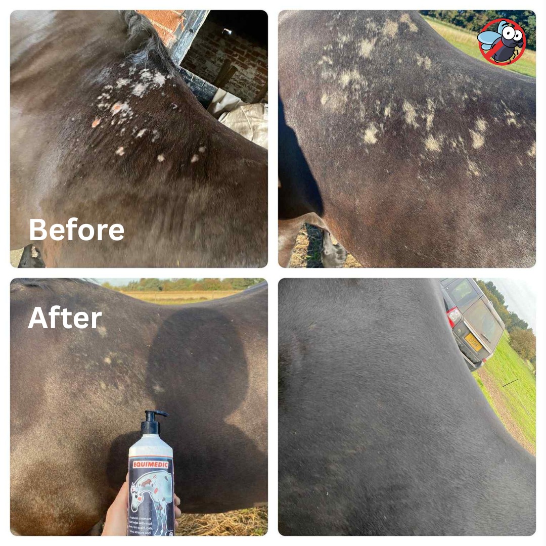 Equimedic Soothing Ointment 500ml - Image 2